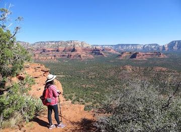 arizona/flagstaff/attraction/bear-mountain-trailhead