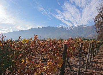 chile/maipo-valley/attraction/vina-cousino-macul