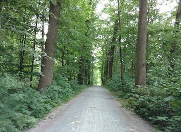 belgium/leuven/attraction/heverleebos