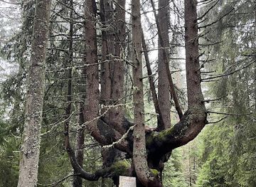 bulgaria/chepelare/attraction/Desette-bratya