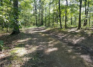 maryland/green-ridge-state-forest/attraction/green-ridge-state-forest-campsite-8