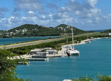 saint-vincent-and-the-grenadines/tobago-cays-marine-park/attraction/longfin
