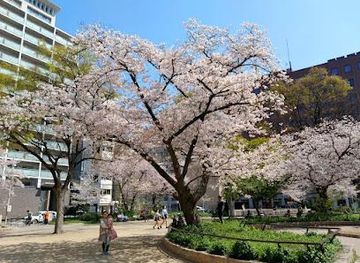 japan/osaka/attraction/horie-park
