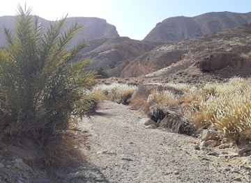 tunisia/tamerza/attraction/blijoux