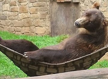 czechia/north-moravia/attraction/decin-zoo