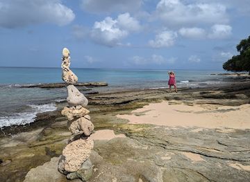 barbados/south-coast/attraction/seafloor-sculptures