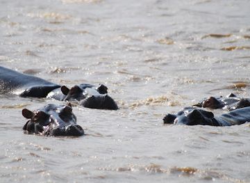 south-africa/elephant-coast/attraction/lake-st-lucia