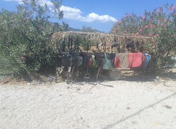 greece/zakynthos/attraction/lucky-luke-horses