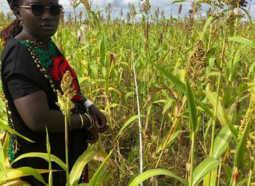 uganda/karamoja/attraction/karamoja-cultural-center