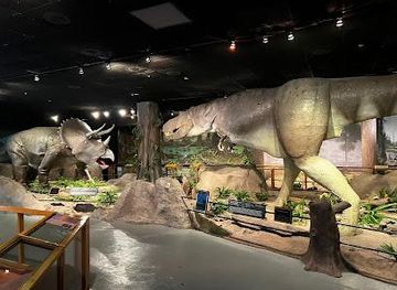kentucky/henderson/attraction/las-vegas-natural-history-museum