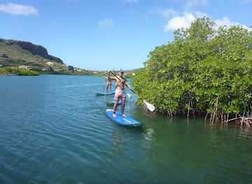 curacao/westpunt/attraction/supcuracao