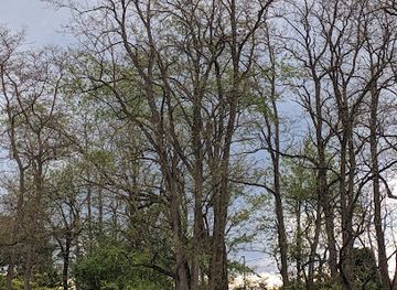 pennsylvania/laurel-highlands/attraction/luray-park