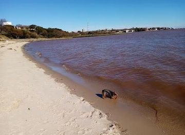 uruguay/colonia-del-sacramento/attraction/playa-urbana-el-alamo