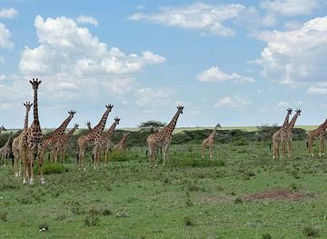 kenya/loita-plains/attraction/pardamat