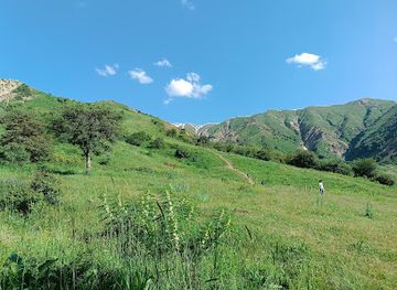 uzbekistan/chimgan-mountains/attraction/chimgan