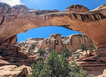 utah/torrey/attraction/hickman-bridge-trail