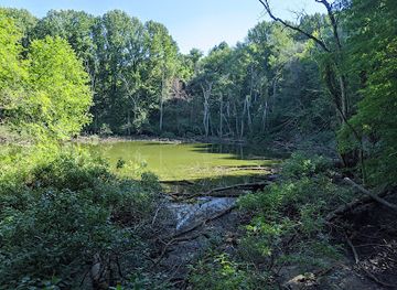 indiana/indiana-dunes-national-park/attraction/pinhook-bog