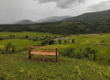 india/northeast-india/attraction/naamai-zho-bio-diversity-park