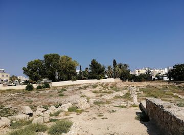 cyprus/tylliria-region/attraction/archaeological-site-of-kition