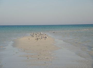 egypt/ras-muhammad-national-park/attraction/c-quest-island