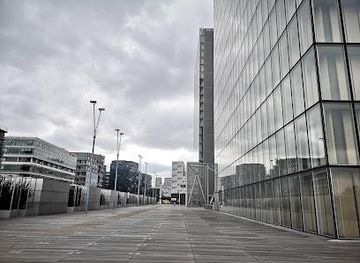 france/paris/attraction/bibliotheque-francois-mitterrand