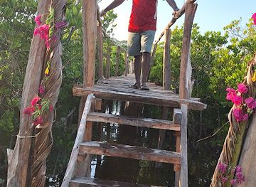 kenya/watamu/attraction/kola-bay-watamu