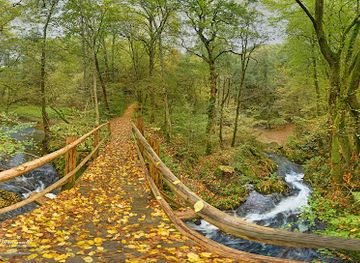 germany/eifel/attraction/wasserfall-bei-maria-martental