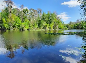 florida/nature-coast/attraction/lower-hillsborough-wildlife-management-area