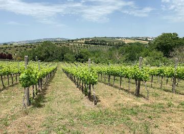 italy/irpinia/attraction/mastroberardino-societa-agricola-srl