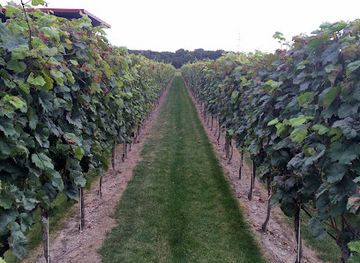 austria/thermenregion/attraction/weingut-leo-aumann