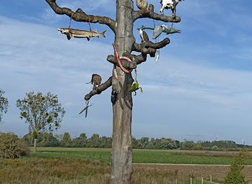 netherlands/maastricht/attraction/levensboom-herbricht