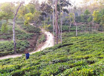 bangladesh/sylhet-division/attraction/lakkatura