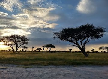 zimbabwe/mana-pools-national-park/attraction/hwange-national-park