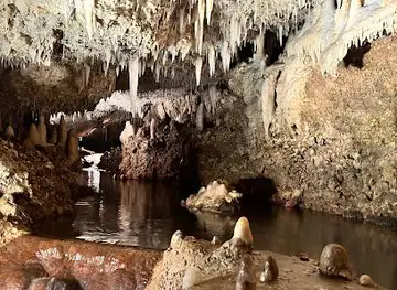 Harrison's Cave Eco-Adventure Park