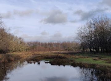 netherlands/bollenstreek/attraction/kabouterpad-hollands-duin