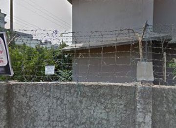 bangladesh/eastern-bengal/attraction/biggest-mango-tree