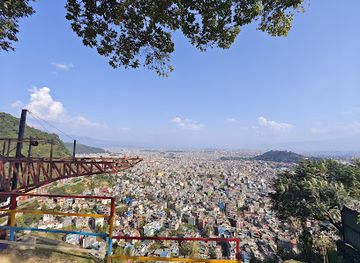 india/himalayas/attraction/single-tree