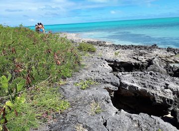 mauritius/rodrigues/attraction/ile-aux-chats
