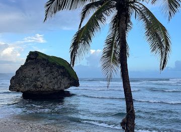 barbados/oistins/attraction/landsharks246-tours-adventures-fitness-healthy-lifestyle-nutrition-coaching