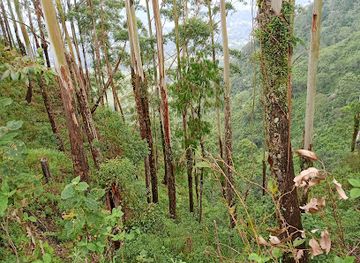 malawi/zomba/attraction/mbete