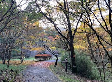japan/hakone/attraction/mori-no-fureaikan-hall