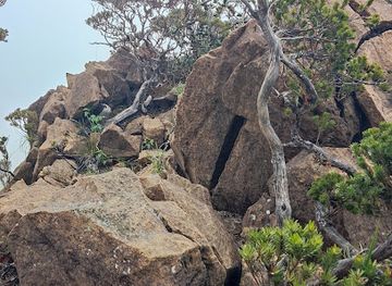 malaysia/kinabalu-national-park/attraction/rock-garden-mt-tambuyukon