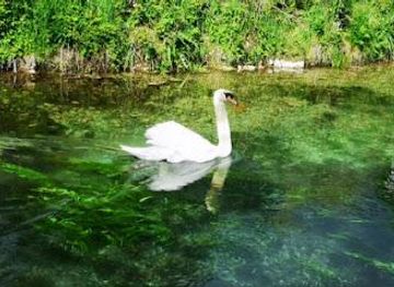 italy/perugia/attraction/fonti-del-clitunno