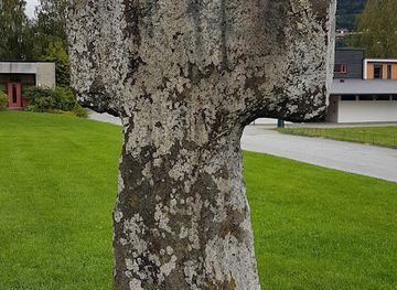 norway/voss/attraction/st-olav-s-cross