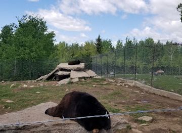 canada/saguenay-lac-saint-jean/attraction/zoo-falardeau