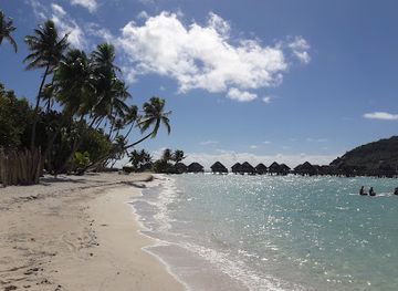 french-polynesia/windward-islands/attraction/papeete-market