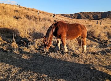 japan/kyushu/attraction/mount-aso-observation-deck