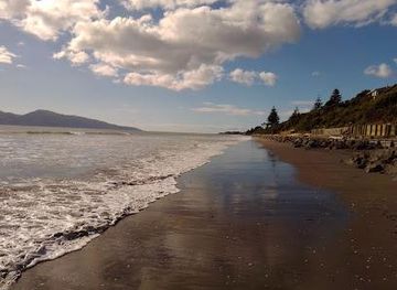 new-zealand/wellington/attraction/raumati-beach