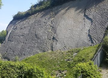 united-kingdom/west-midlands/attraction/wren-s-nest