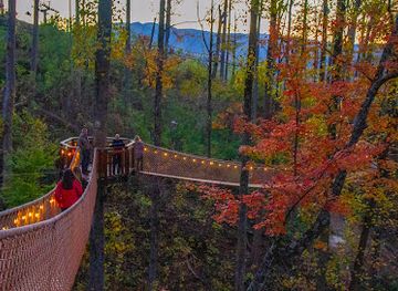 tennessee/east-tennessee/attraction/treetop-skywalk-at-anakeesta
